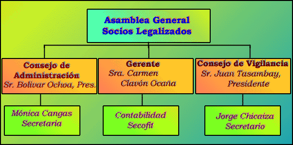 Org Chart